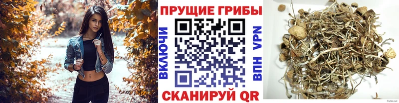 Псилоцибиновые грибы мухоморы  Верхоянск 